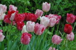 images/productimages/small/6C_HEMISPHERE (7)_web.jpg